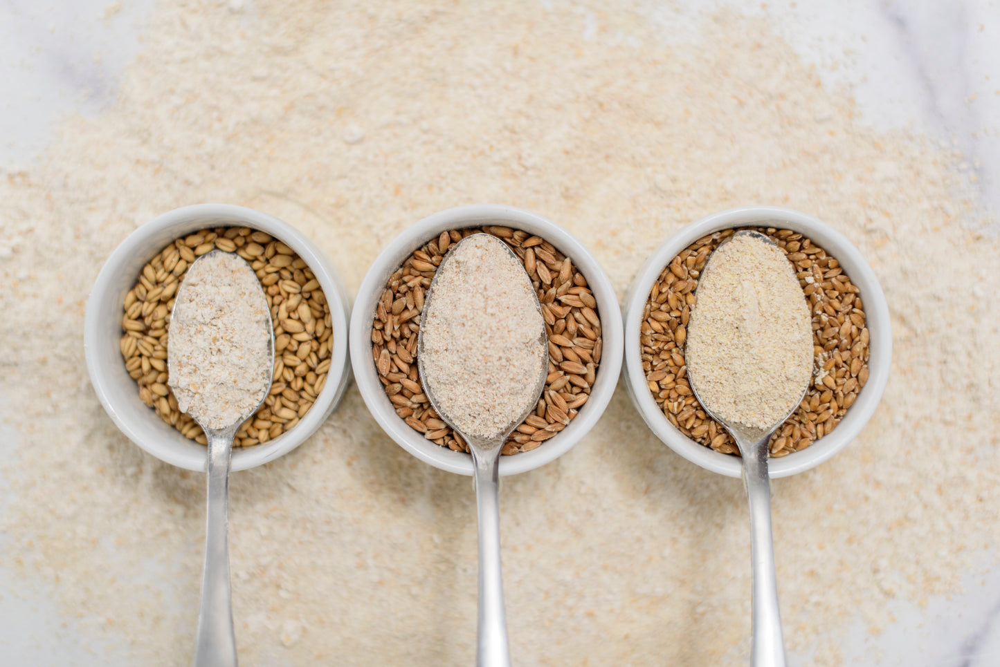 Stone-Milled Whole Wheat Flour Blend - 20 oz.